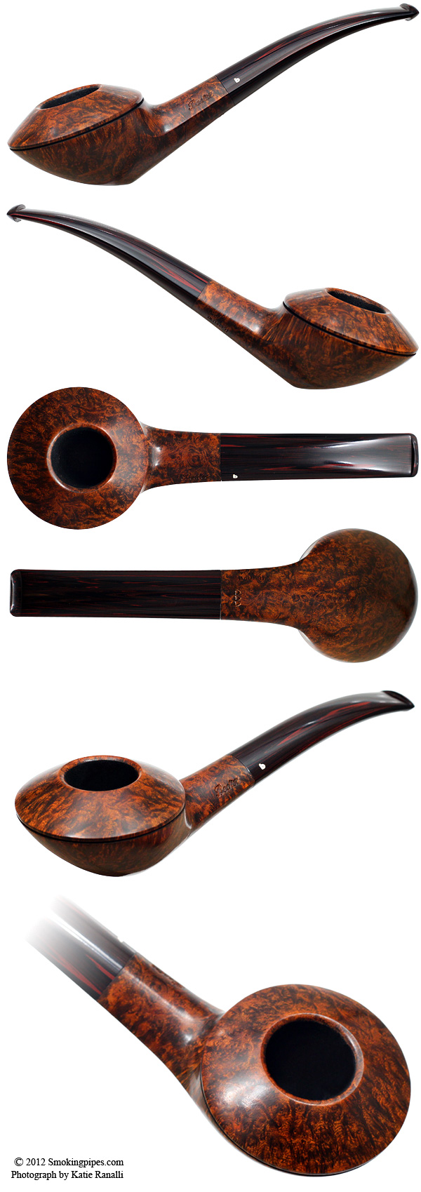 Smooth Rhodesian (Three Hearts)