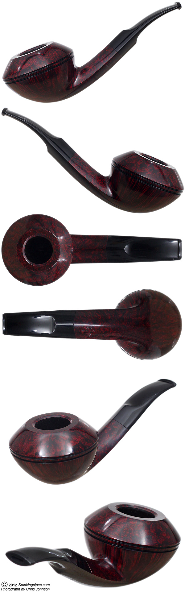 Smooth Bent Bulldog