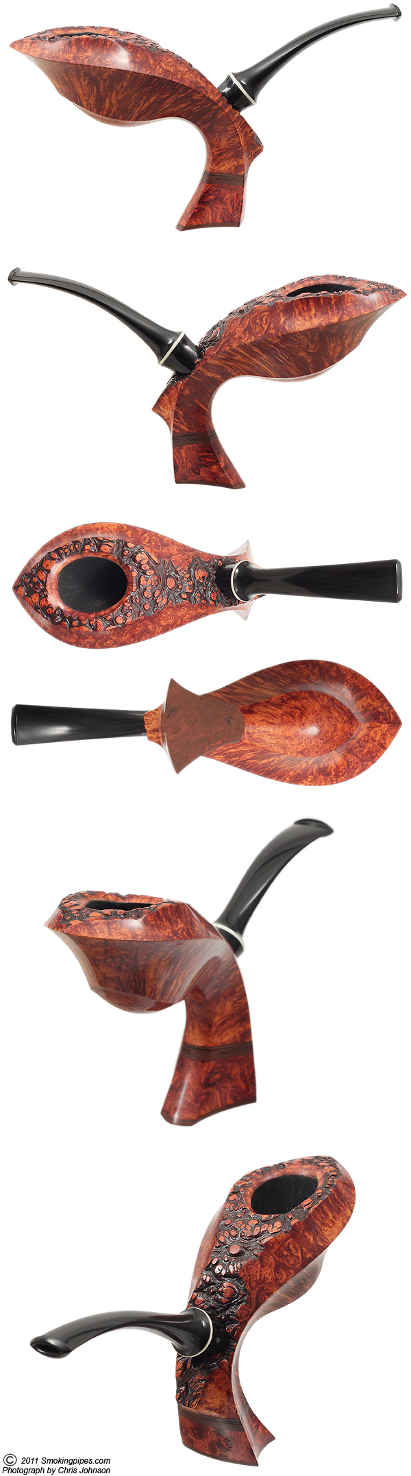 Smooth Dolphin (Slonim)
