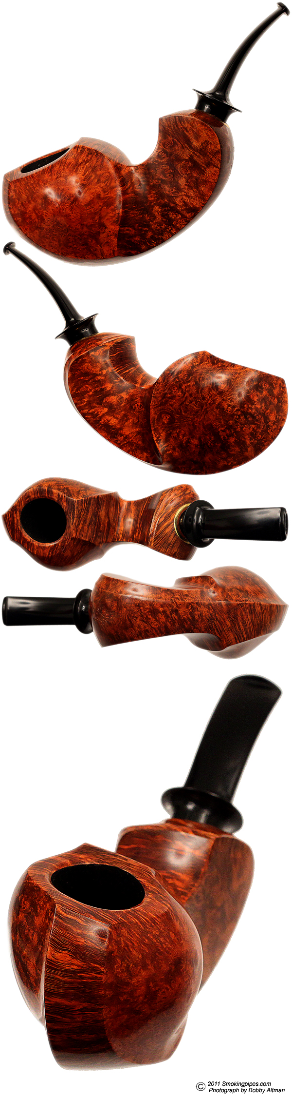 Smooth Freehand Blowfish