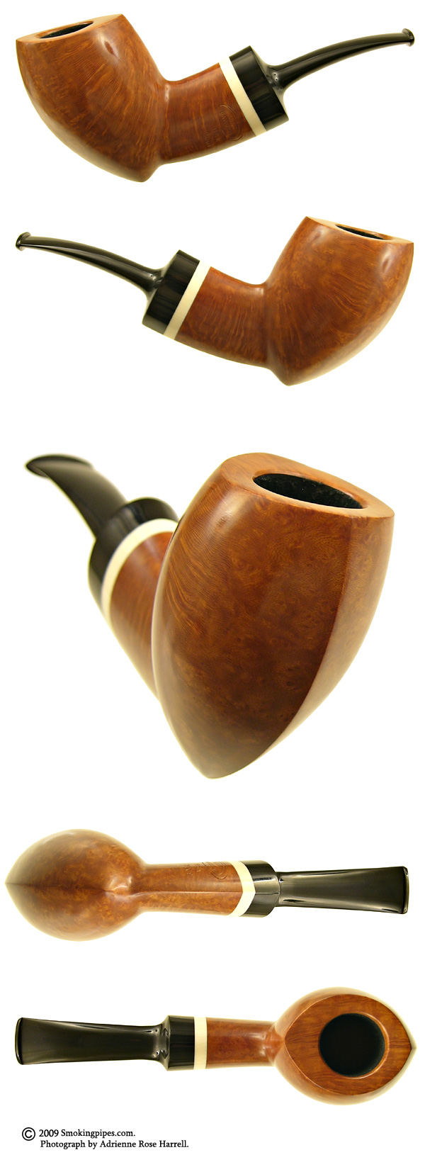 Smooth Almond with Mastodon Ivory