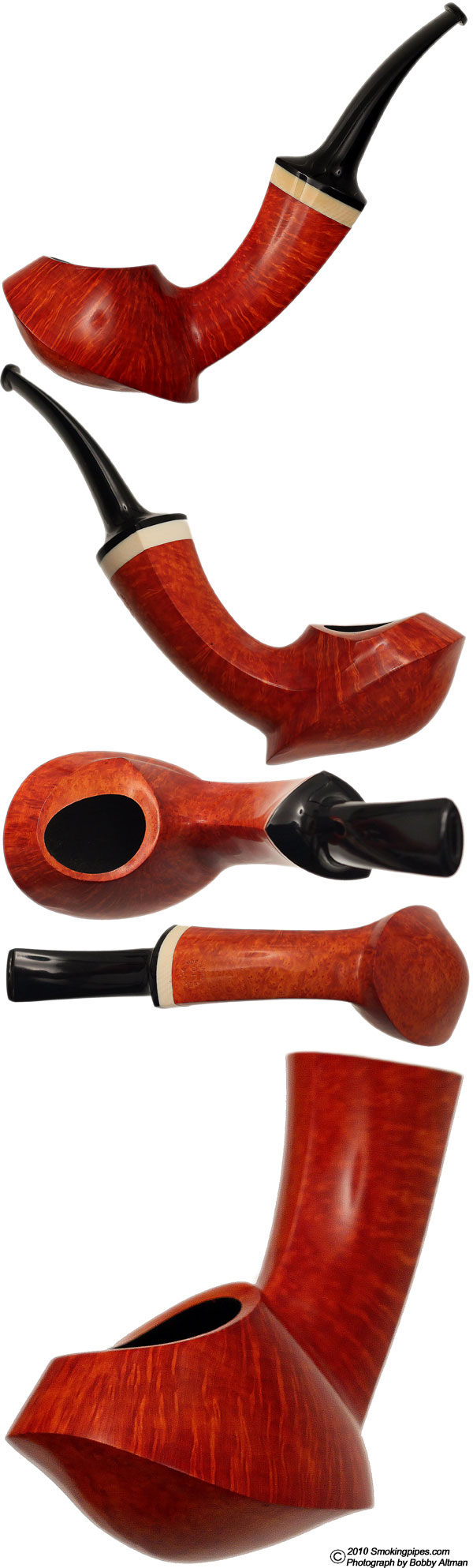 Smooth Blowfish with Mastodon ivory