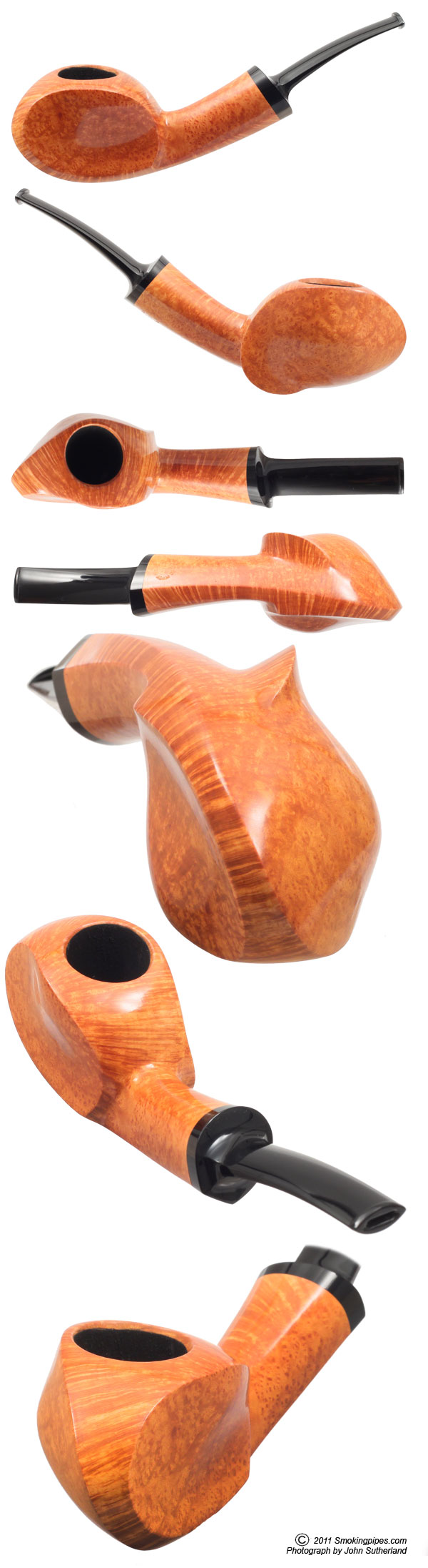 Smooth Blowfish