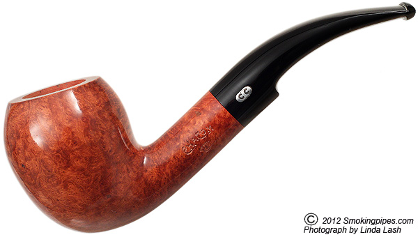 Smooth Acorn (U7)