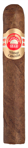 Vintage Cameroon Robusto (Single)
