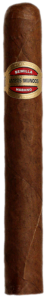Toro #1