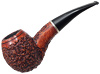 Picta Miro Rusticated Hawkbill (R1) (01)