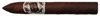 Patel Brothers Torpedo