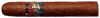 Urban Robusto