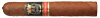 Family Select Robusto